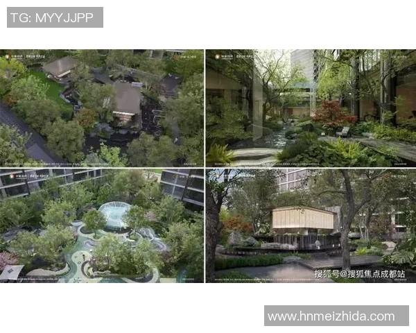 阿尔梅勒城与奥斯比赛改期最新消息及影响分析